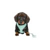 Trixie JUNIOR Soft postroj s vodítkem pro štěňata M-L 36-50cm, 2m mátová