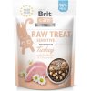 Brit Raw Treat Cat Sensitive - Turkey 40g