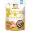 Brit Raw Treat Cat Hair and Skin - Fish and Turkey 40g