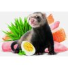 3831 1 brit animals ferret complete 700g