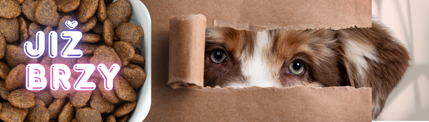 Krmivo pro psy JIŽ BRZY