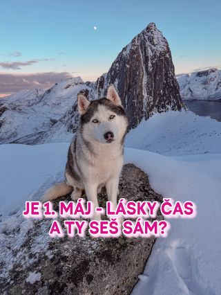 Čau! Tu Marvel! Přeju vám krásný svátek 🍒🌸 A jestli nemáte dneska koho olízat pod stromem… buďte rádi, já když něco lížu...