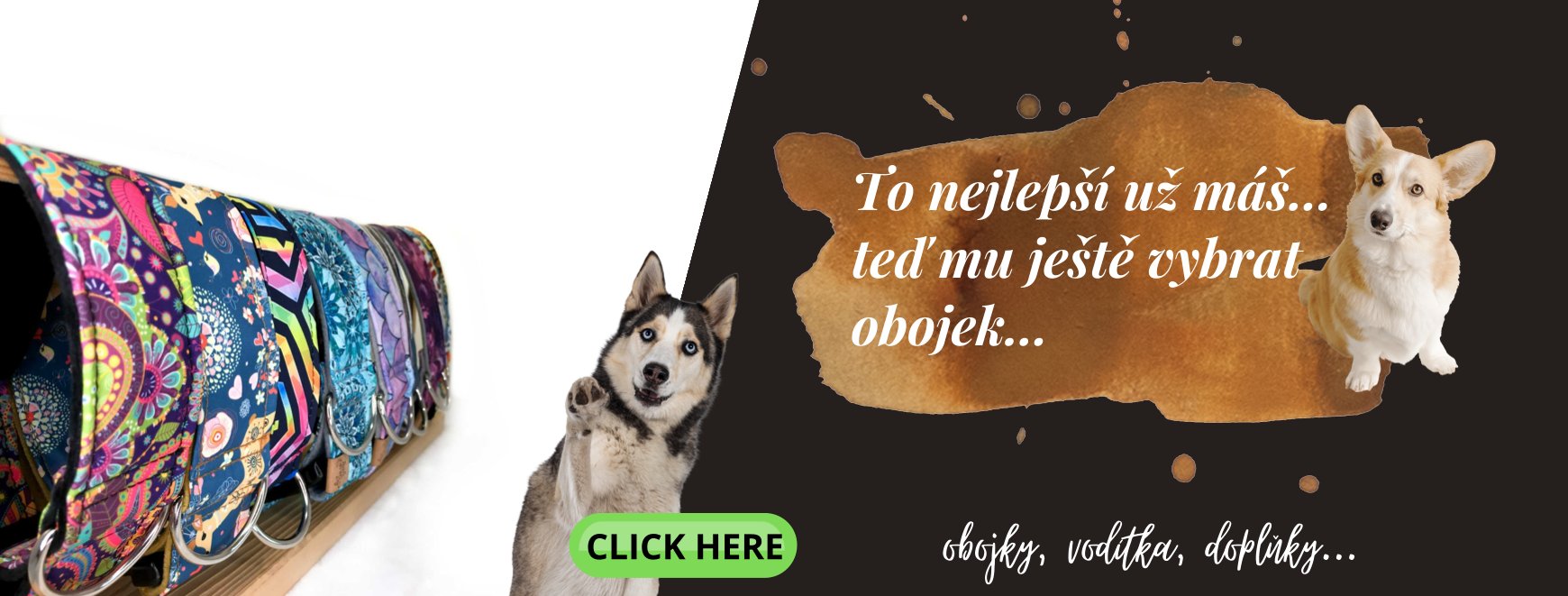 obojky