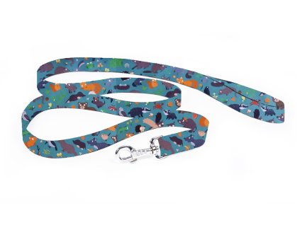 voditko lesni zviratka