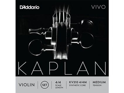 D'Addario KAPLAN VIVO KV310M set violin