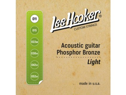 Lee Hooker ACOUSTIC GUITAR Light 011-052