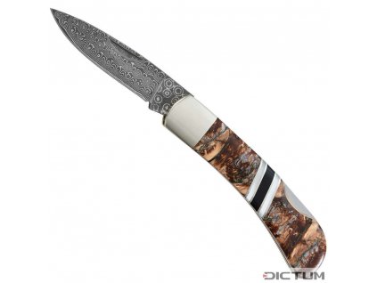 Dictum 719669 - Mini Damascus Folding Knife, Mammoth Molar