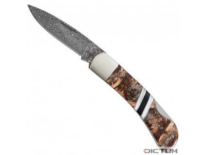Kapesní nůž Dictum 719669 - Mini Damascus Folding Knife, Mammoth Molar