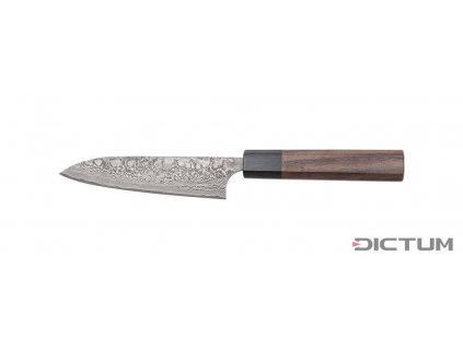 Dictum 719924 - Anryu Hocho, Gyuto, Fish and Meat Knife