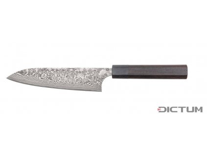 Japonský nůž Dictum 719925 - Anryu Hocho, Gyuto, Fish and Meat Knife