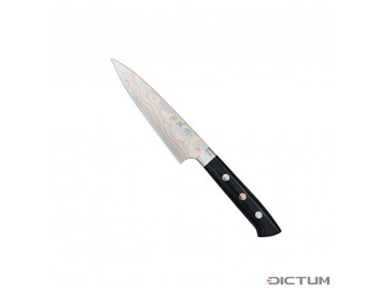Dictum 719962 - Saji Rainbow Hocho, Gyuto, Fish and Meat Knife