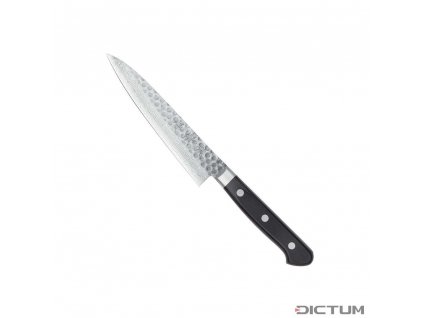 Dictum 719973 - Sakai Hocho, Gyuto, Fish and Meat Knife