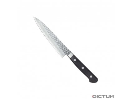 Japonský nůž Dictum 719973 - Sakai Hocho, Gyuto, Fish and Meat Knife