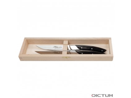 Dictum 719992 - Le Thiers Art Deco Steak and Table Knives, 2-Piece Set