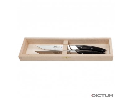 Steakové nože Dictum 719992 - Le Thiers Art Deco Steak and Table Knives, 2-Piece Set