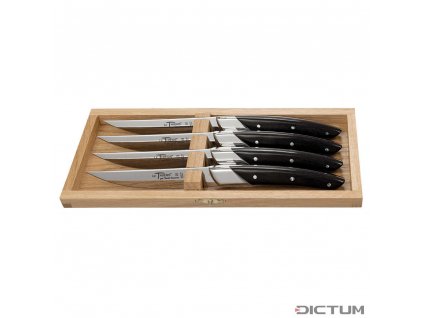 Dictum 719993 - Le Thiers Art Deco Steak and Table Knives, 4-Piece Set