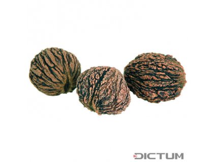 Dictum 831040 - Black Walnut