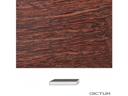 Dictum 831755 - Camel Thorn, 150 x 20 x 20 mm