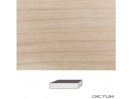 Dictum 831970 - Ash, 150 x 40 x 40 mm