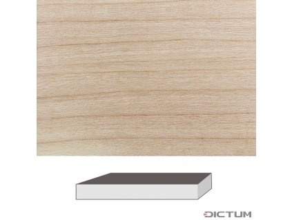 Dictum 831973 - Ash, 300 x 60 x 60 mm