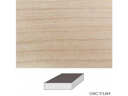 Dictum 831974 - Ash, 150 x 150 x 60 mm