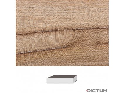 Dictum 831985 - Elm, 150 x 40 x 40 mm