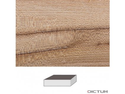 Dictum 831987 - Elm, 150 x 60 x 60 mm