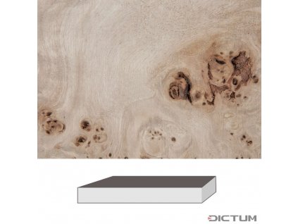 Dictum 832008 - Grained Poplar, 300 x 60 x 60 mm