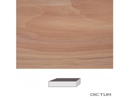 Dictum 832020 - Apple, 150 x 40 x 40 mm