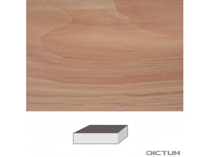 Dictum 832022 - Apple, 150 x 60 x 60 mm