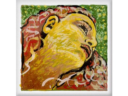 pirastro evah pirazzi neo