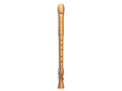 Mollenhauer CANTA 2446 tenor