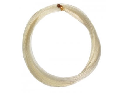 Dictum 111003 - Mongolian BOW HAIR bass