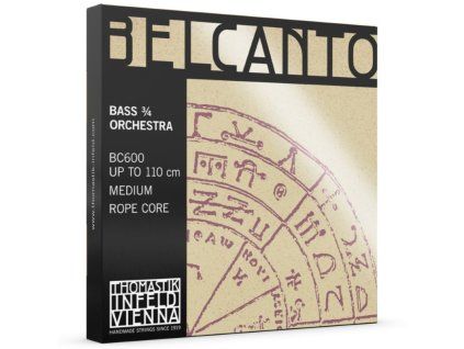 DoubleBass Belcanto BC600 Front 1