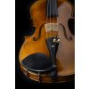 Violin Schönbach -  Golden Brown