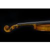 Violin Schönbach -  Golden Brown
