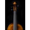 Violin Schönbach -  Golden Brown