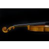 Violin Schönbach -  Golden