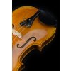 Violin Schönbach -  Golden