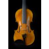 Violin Schönbach -  Golden