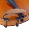 Pirastro KorfkerSpring onViolin2