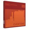 Evertone ET100 1