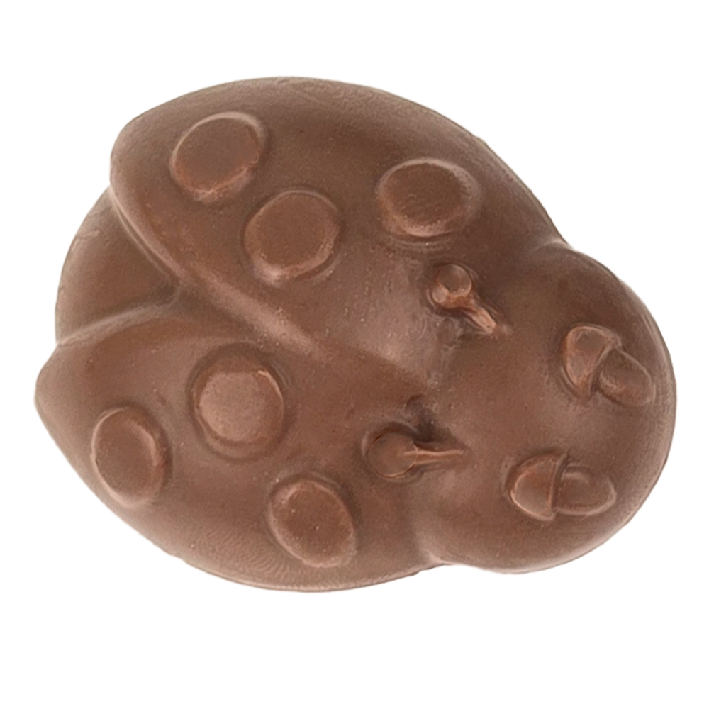 Pralinka s malinovou náplní hořká