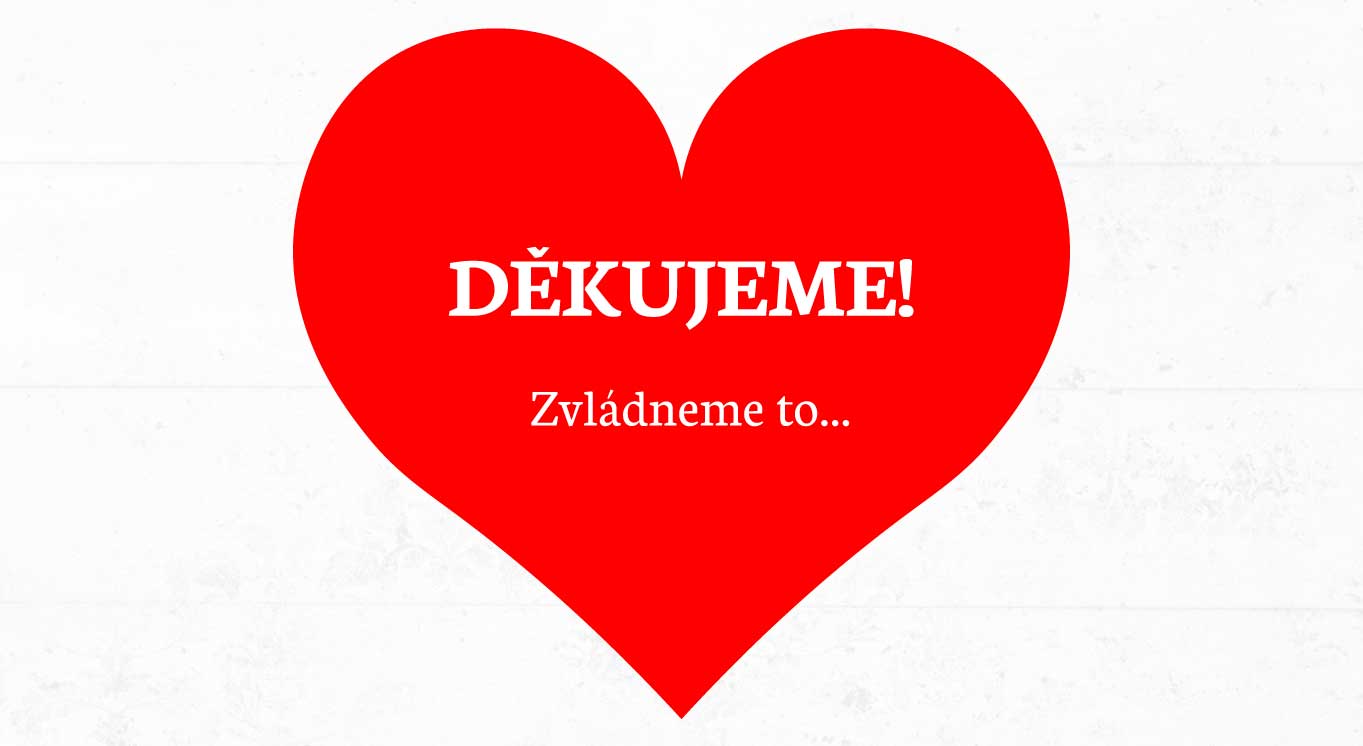 Krádež, která mohla ukončit náš sen