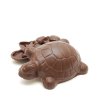 Želva Hořká čokoláda IV.