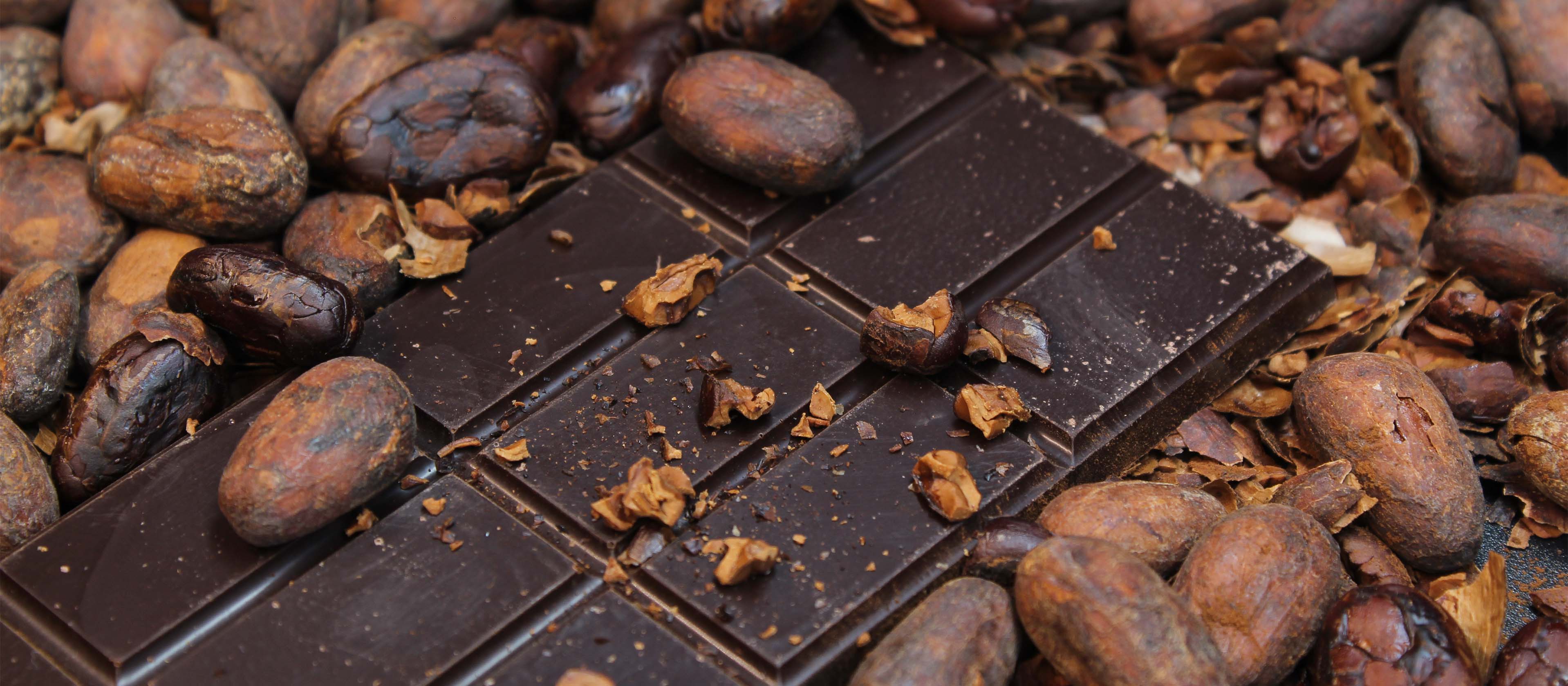 Historie a výroba čokolády: Od kakaa k lahodné pochoutce