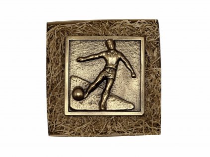 fotbal