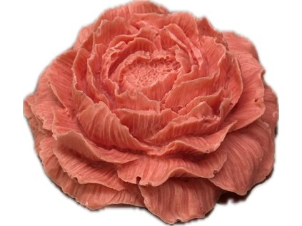 karafiar cervena 1
