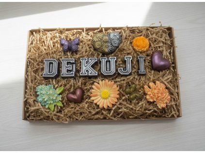 downloaded file (18)