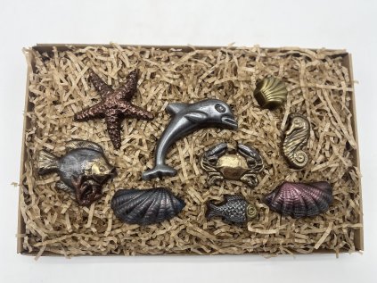 Chocolate Set – Life Underwater